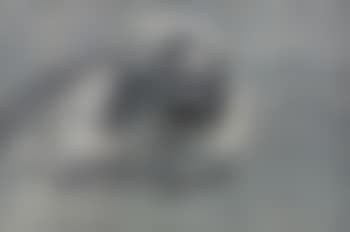 1999.2.1 (preview)