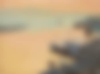 Village (preview)