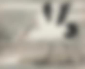 Crane (preview)
