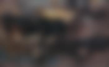 Two cows on the water (preview)