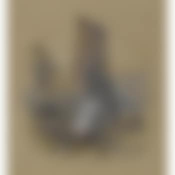 Encampment (preview)
