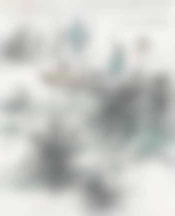 Wild Goose (preview)
