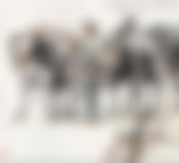 Soldier (preview)