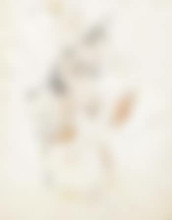 Tanzende mit Papageien (preview)