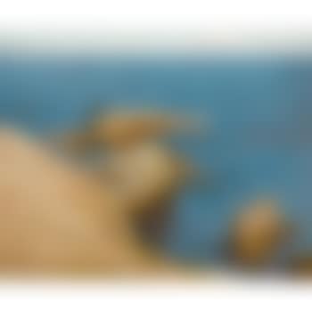 The silent summer sea (preview)
