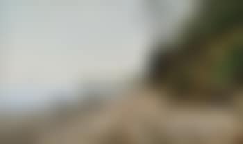 Am Strand von Helgenæs, im östlichen Jütland (preview)