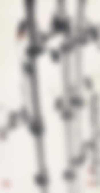 Cicada and bamboo (preview)
