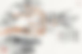 The plum blossoms (preview)