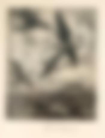 Kraniche (preview)