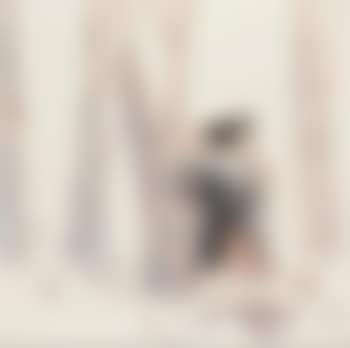 Figure (preview)