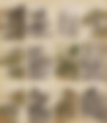 Landscape (preview)