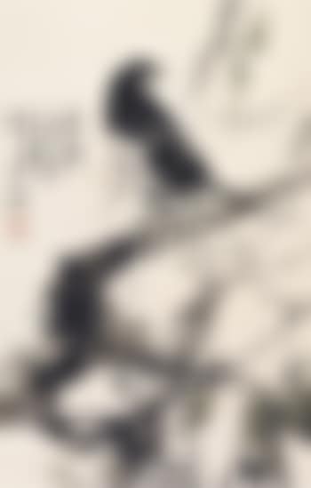 Magpie perching on branch (preview)
