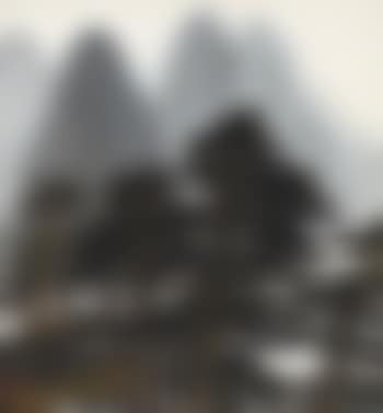 Old pines (preview)