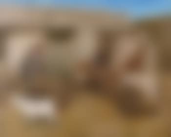 Village (preview)