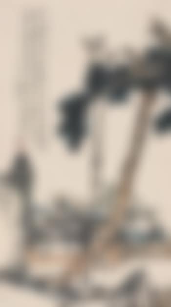 Mountain perch (preview)