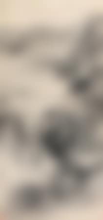 Landscape (preview)