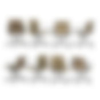 Eight Soft Pad Chairs by Charles Eames  by Ray Eames (preview)