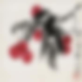 Litchi (preview)