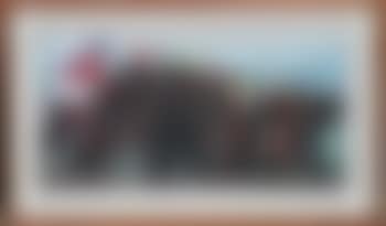 Neck 'n Neck (preview)