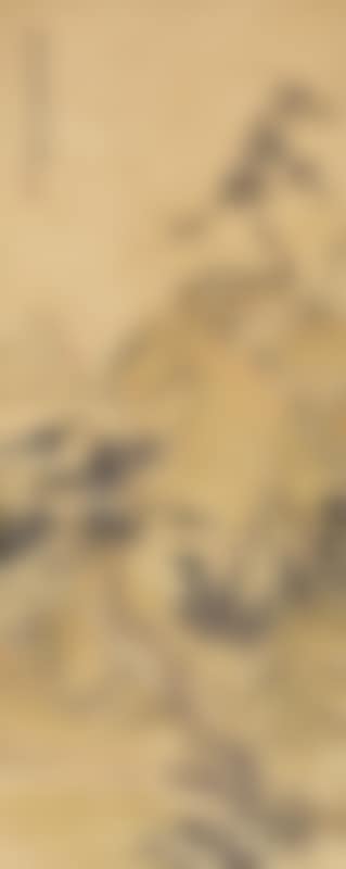 Pine and cypress trees (preview)