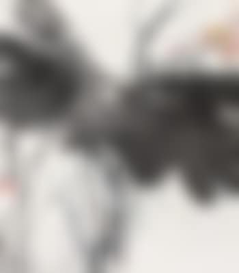 Lotus (preview)