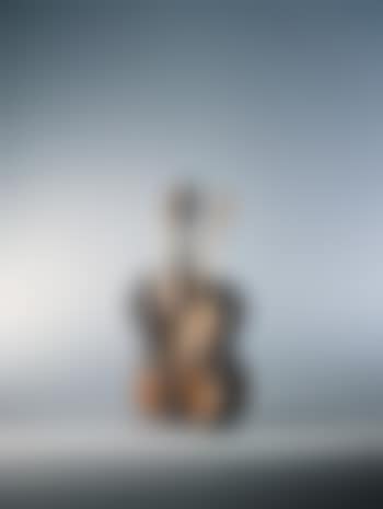 Violon double phoenix (preview)