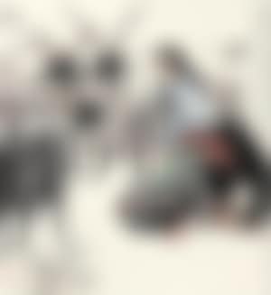 A Girl with Sheeps (preview)