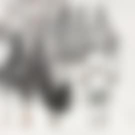 Camel (preview)