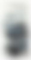 Landscape (preview)