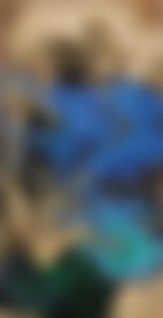 Landscape (preview)
