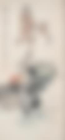 Rooster (preview)