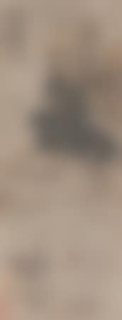 Figure (preview)