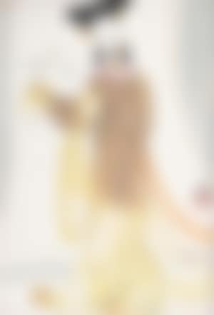 Lady (preview)