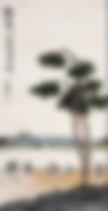 Spring outing (preview)