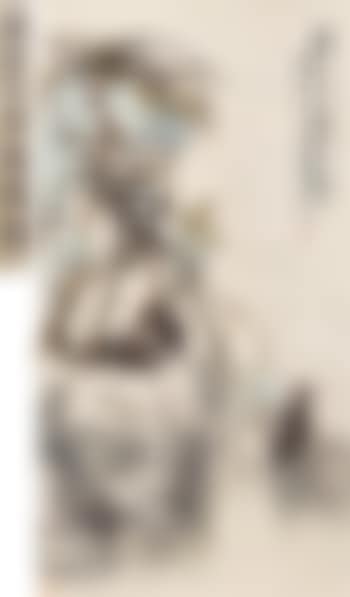Quails (preview)