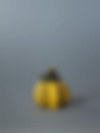Pumpkin (preview)