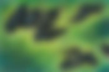 New creation (preview)