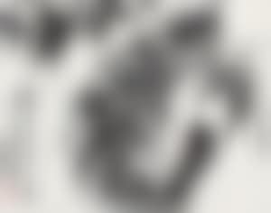 Cat (preview)