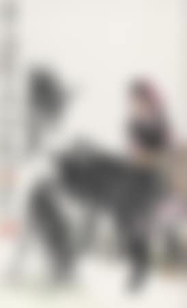 Grazing Donkey (preview)