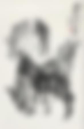 Donkeys (preview)