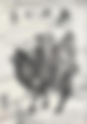 Camels (preview)