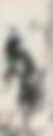 Grazing Donkey (preview)