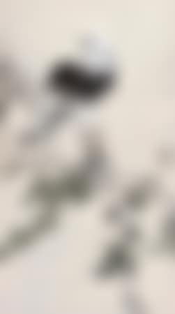 Eagle (preview)