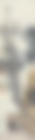 Duck (preview)