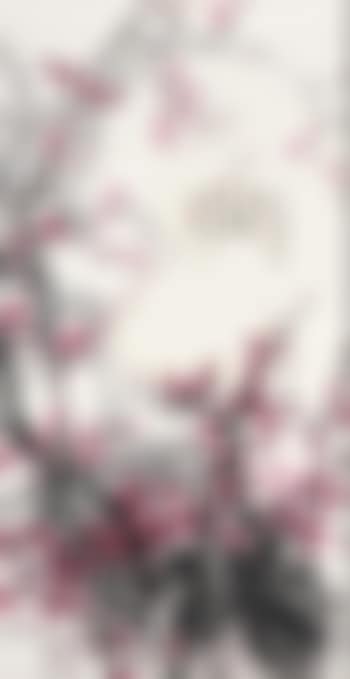 Red Plum Blossom (preview)