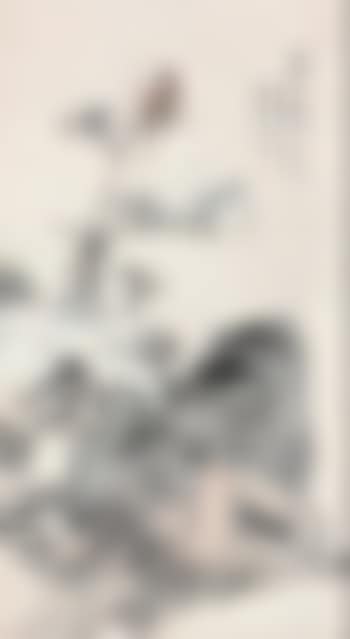 Flower and Bird (preview)