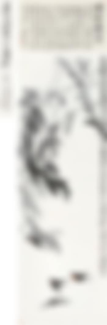 Swallow and Willow (preview)