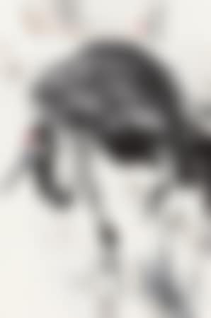 Crane (preview)