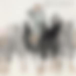 A man sit on the Camel (preview)