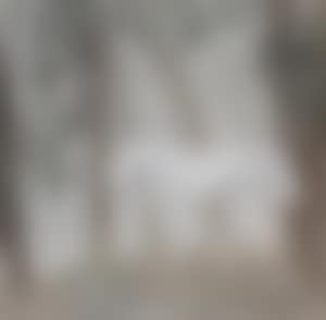 The Horse (preview)
